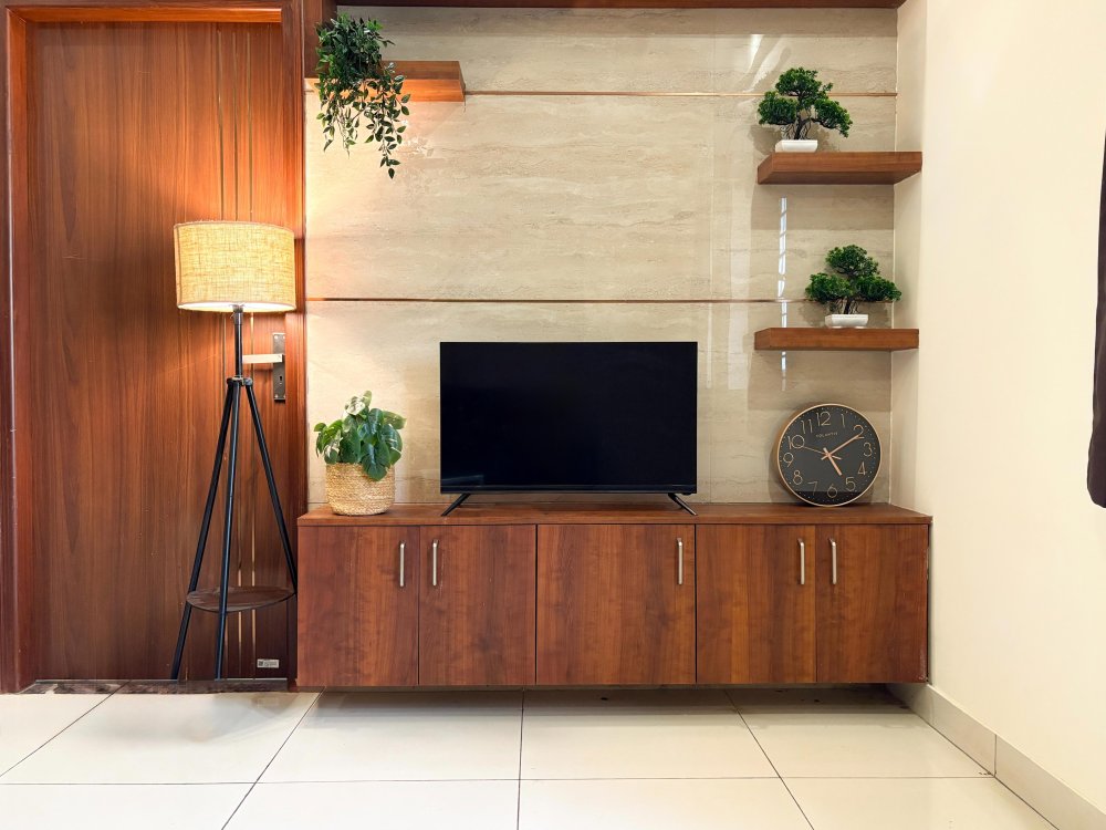 TV and multimedia